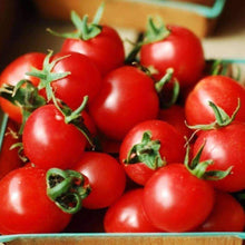 Load image into Gallery viewer, Organic Large Red Cherry Tomato Seeds (250mg)