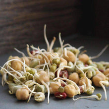 Load image into Gallery viewer, Organic Protein Powerhouse Sprouting Seeds Mix (8 ounces)