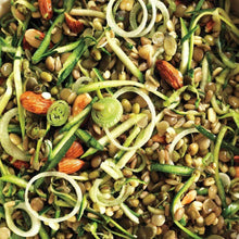 Load image into Gallery viewer, Organic 5 Part Salad Sprouting Seeds Mix (4 ounces)