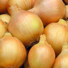 Load image into Gallery viewer, Organic Yellow Sweet Spanish Onion Seeds (500mg)